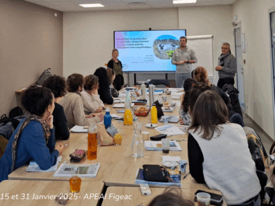 Organisme de Formation Professionnelle